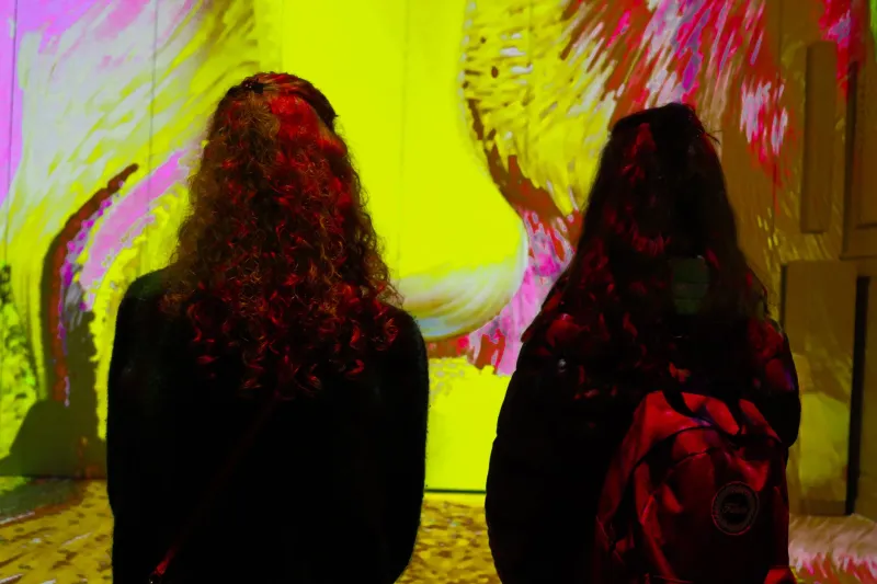 Beyond the Single Sense: How Water Installations Are Rewiring the Way We Perceive Art
