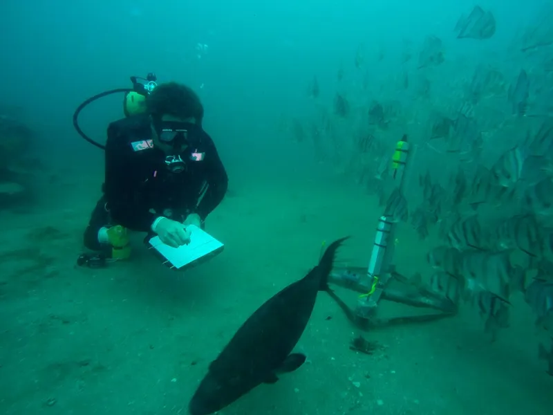 Frequencies Beneath the Surface: How Sound Artists Are Turning Water Into an Acoustic Instrument
