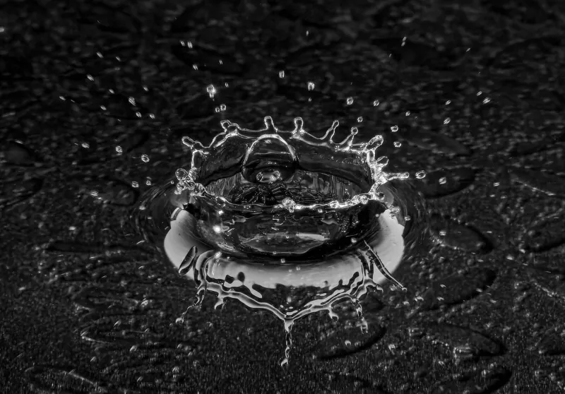 Suspended in Splendor: How High-Speed Water Droplet Photography Is Redefining the Edge Between Accident and Intention